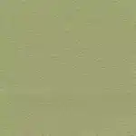 BRISA CELERY +$719.00