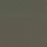 BRISA SHITAKE +$719.00