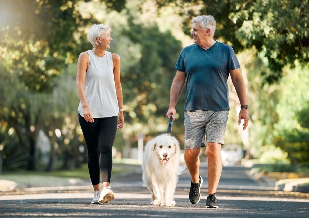 A senior couple walking their fluffy white dog on a tree-lined street. The woman wears a white sleeveless top and black leggings, while the man is in a blue t-shirt and grey shorts. They smile at each other under the sunny, green canopy.