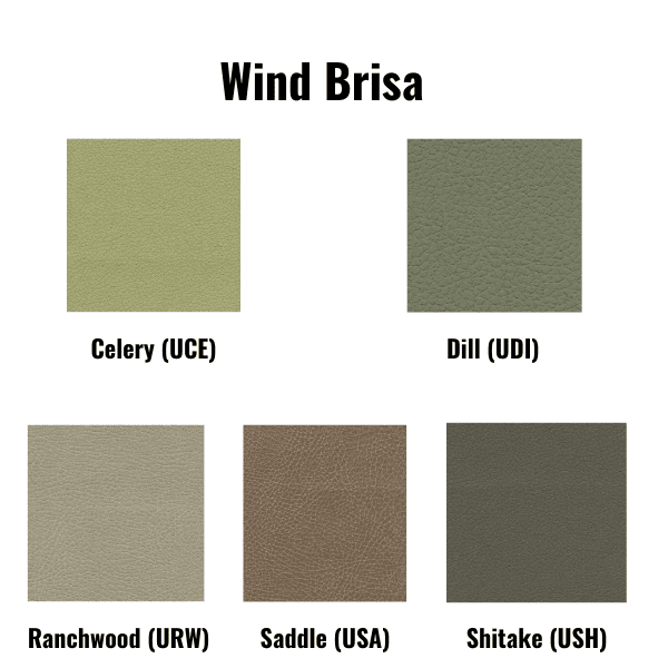 Golden Cloud PR 517 with Power Headrest & Lumbar - Image 6